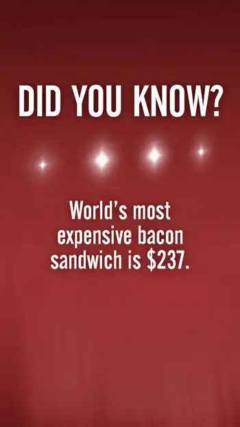 Trivia  Bacon
