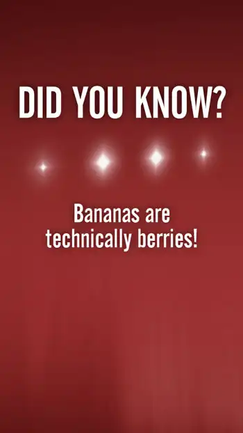 Trivia  Bananas