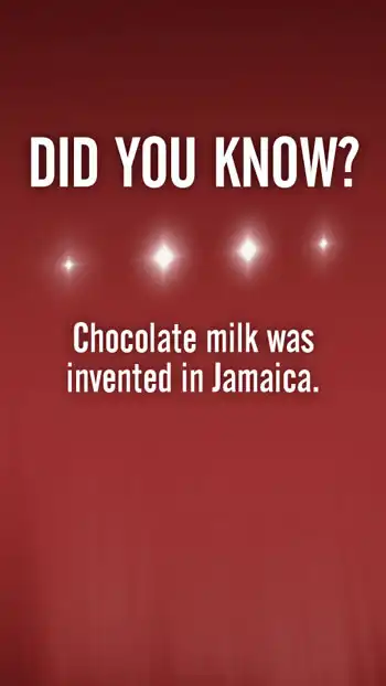 Trivia  Chocolate Milk