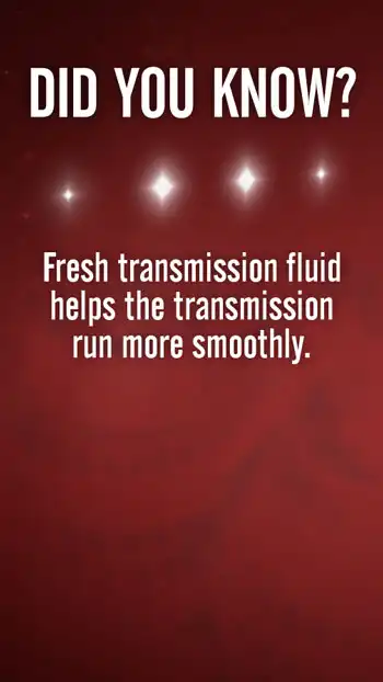 Trivia  Transmission