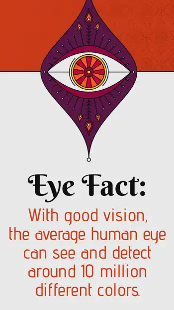 Ophthalmology  Eye Fact 10 M Colors