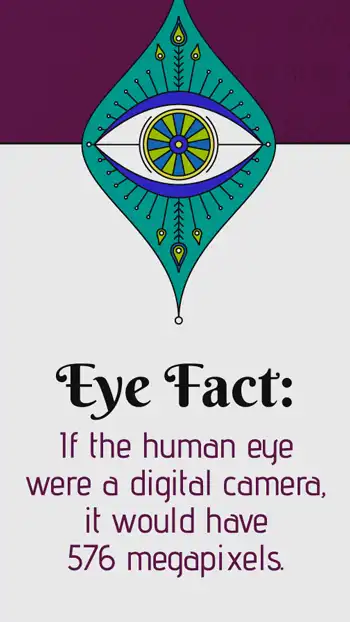Ophthalmology  Eye Fact  Megapixels