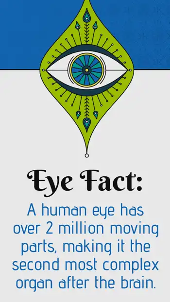 Ophthalmology  Eye Fact  Moving Parts