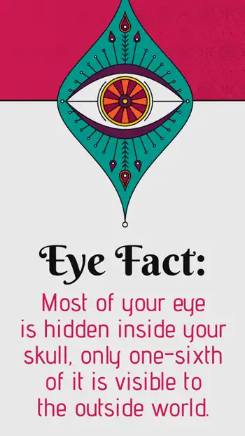 Ophthalmology  Eye Fact  One Sixth