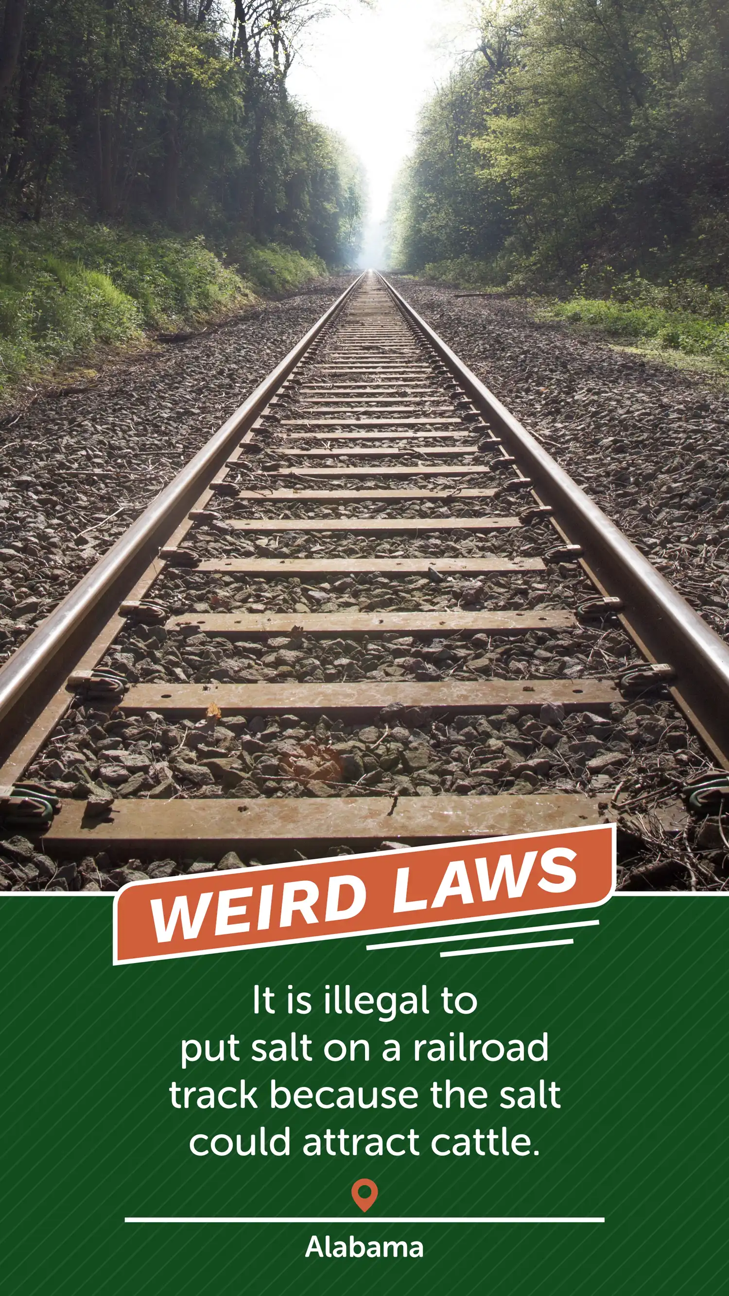 Weird Laws AL Salty Track