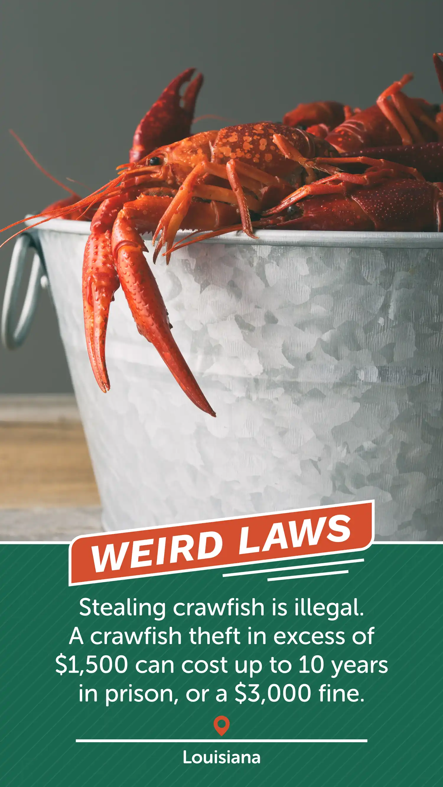 Weird Laws LA Crawfish