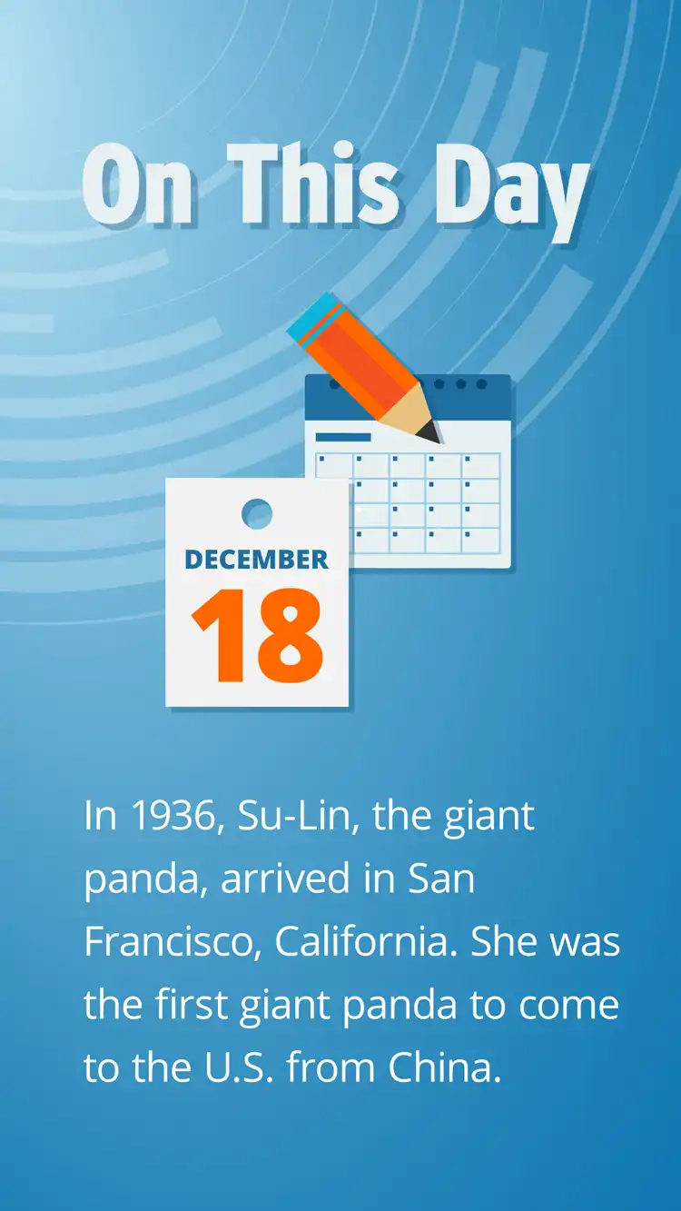 On This Day  Dec 18  Su Lin