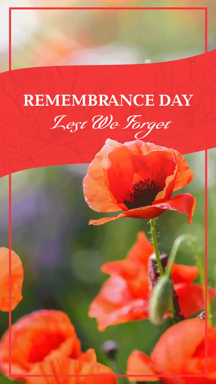 Canadian Holidays  Remembrance Day