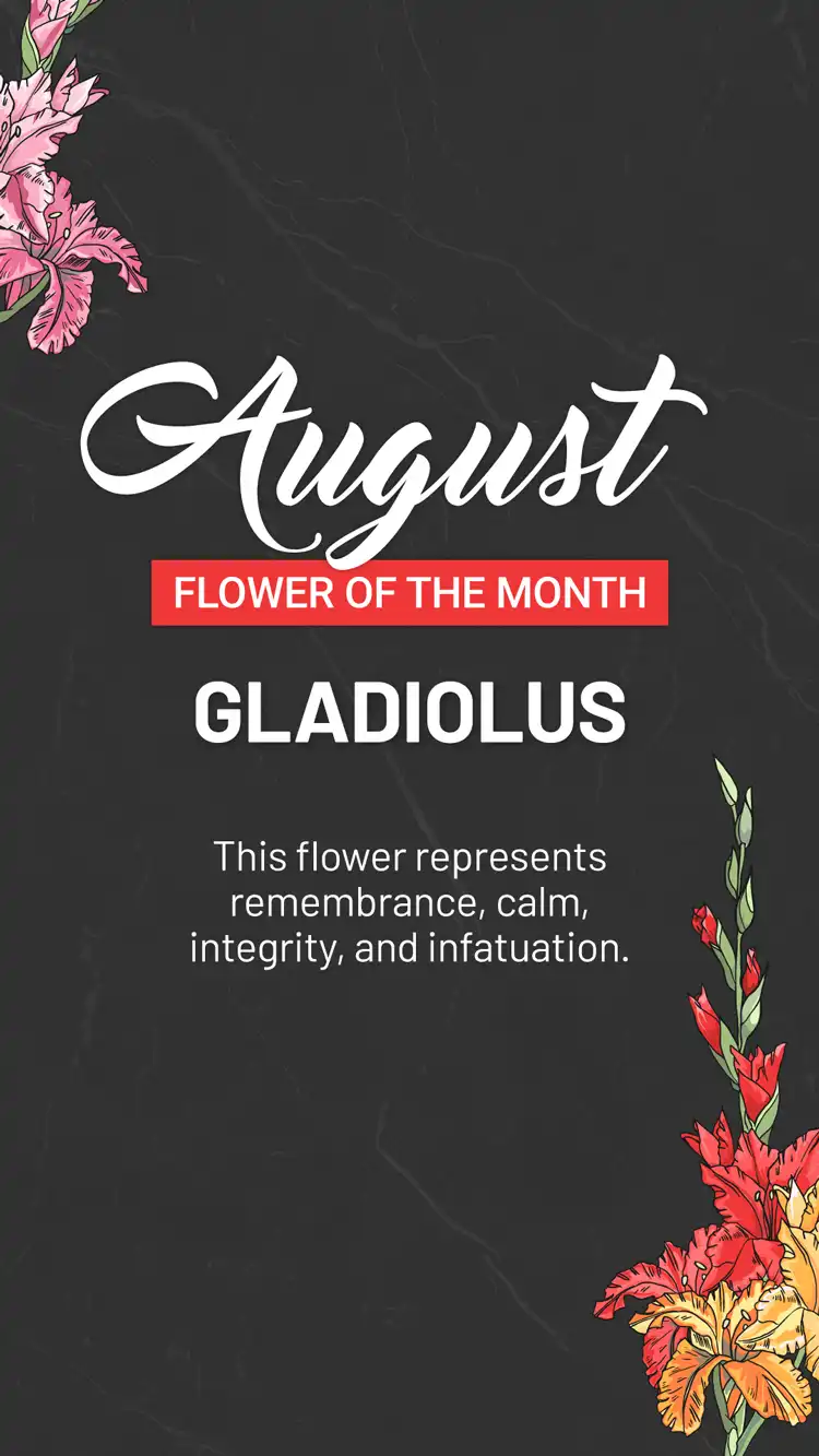 Flower Of The Month  August