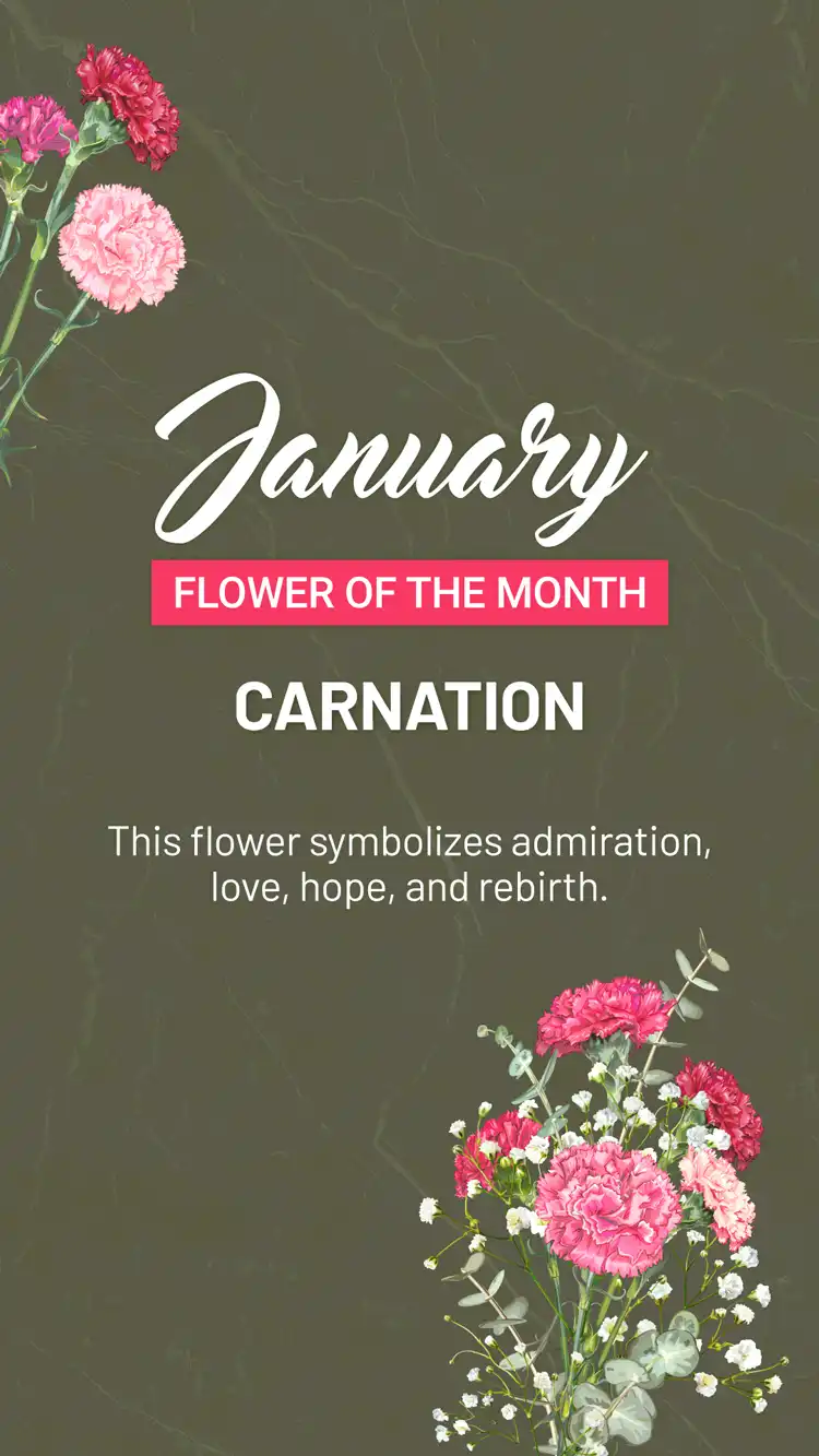 Flower Of The Month  January