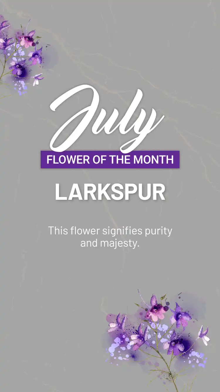 Flower Of The Month  July