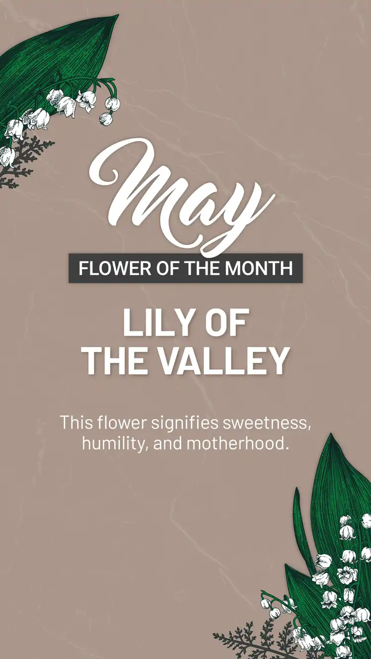 Flower Of The Month  May