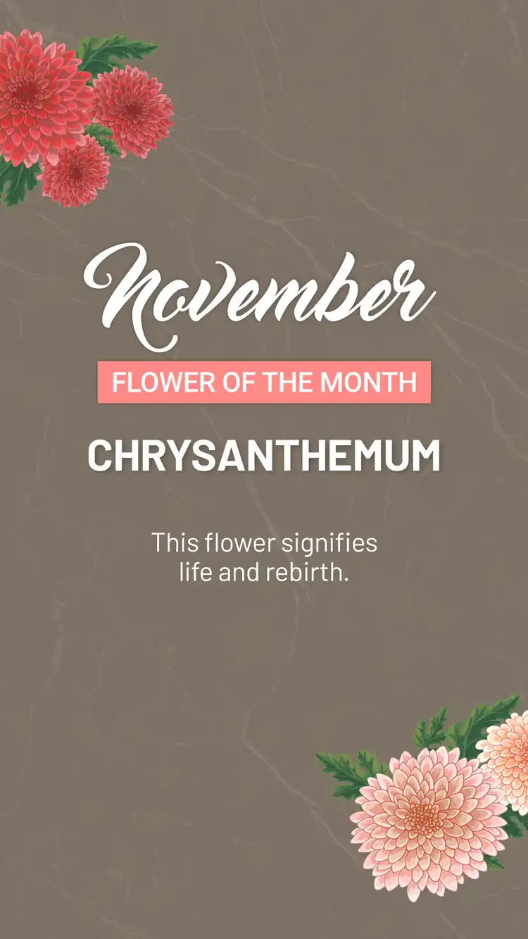 Flower Of The Month  November