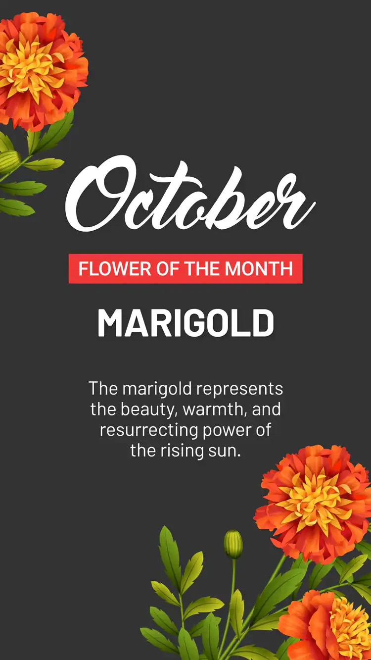 Flower Of The Month  October