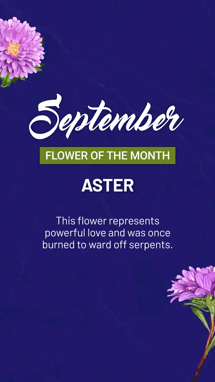 Flower Of The Month  September