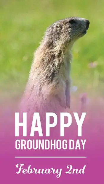 Groundhog Day