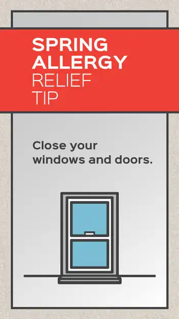 Tip  Spring Allergy  Windows