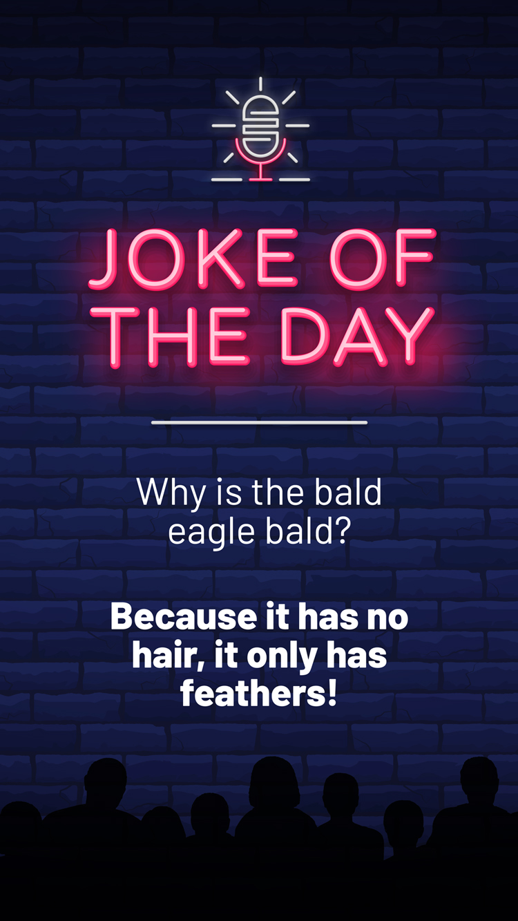 Jokes  Bald Eagle