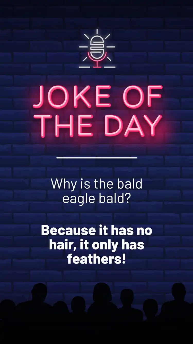Jokes  Bald Eagle