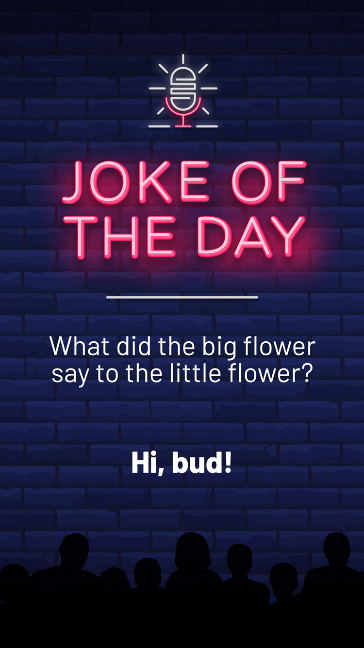 Jokes  Big Flower