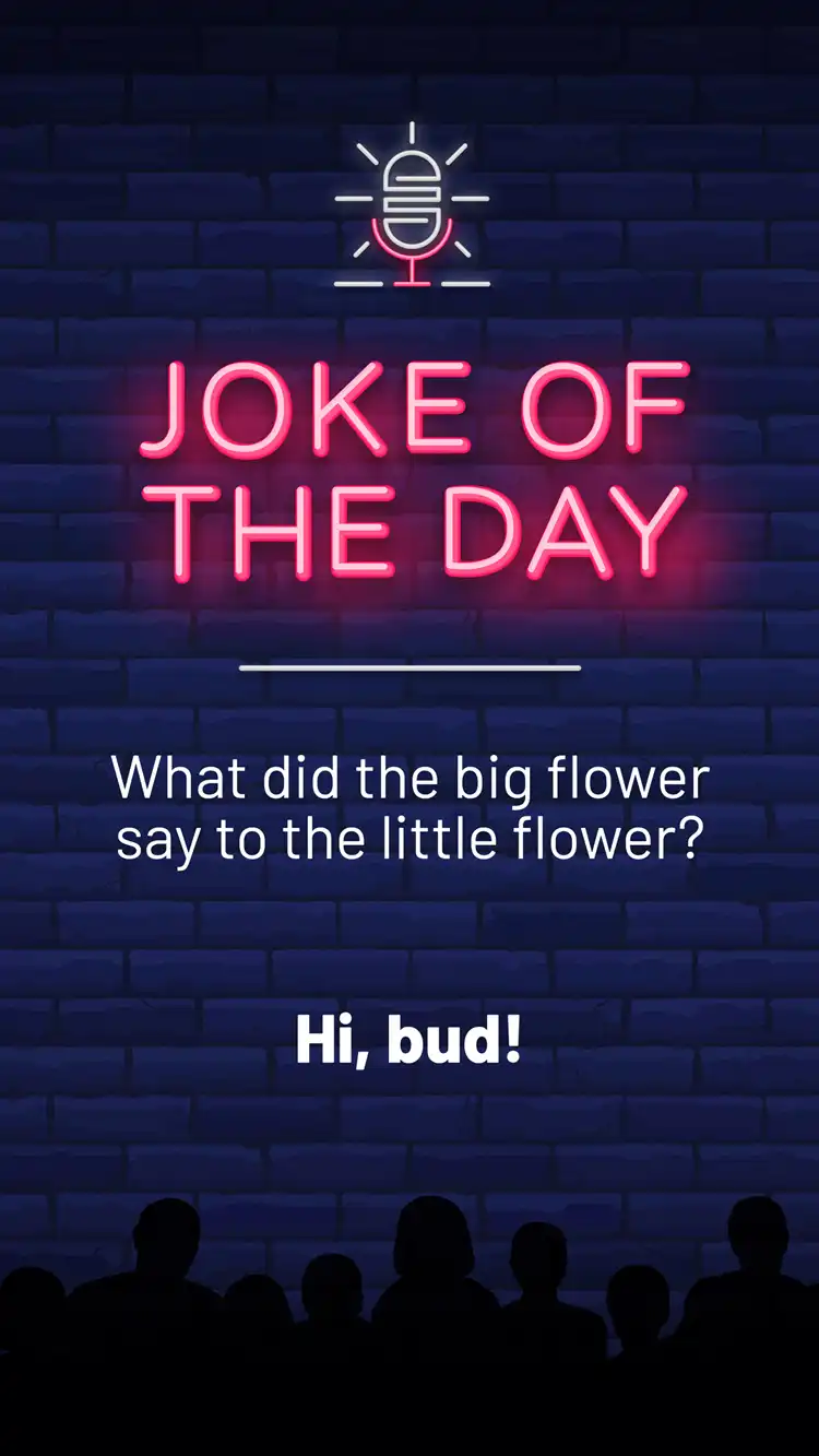 Jokes  Big Flower