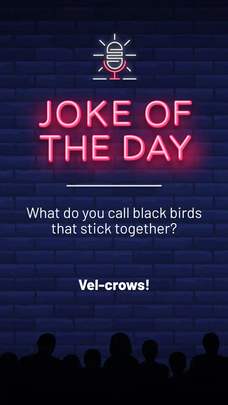 Jokes  Blackbirds
