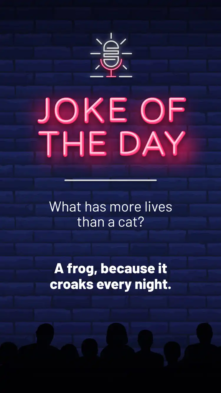 Jokes  Cat Lives