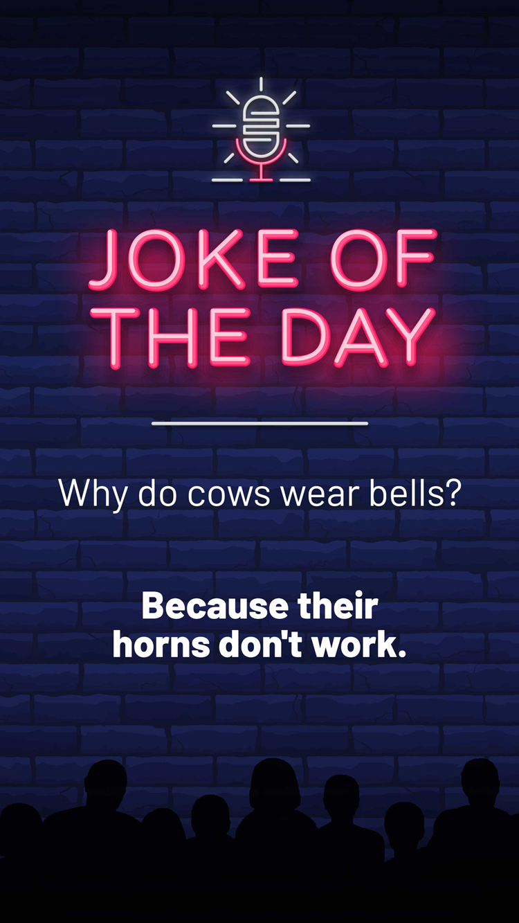 Jokes  Cow Bells