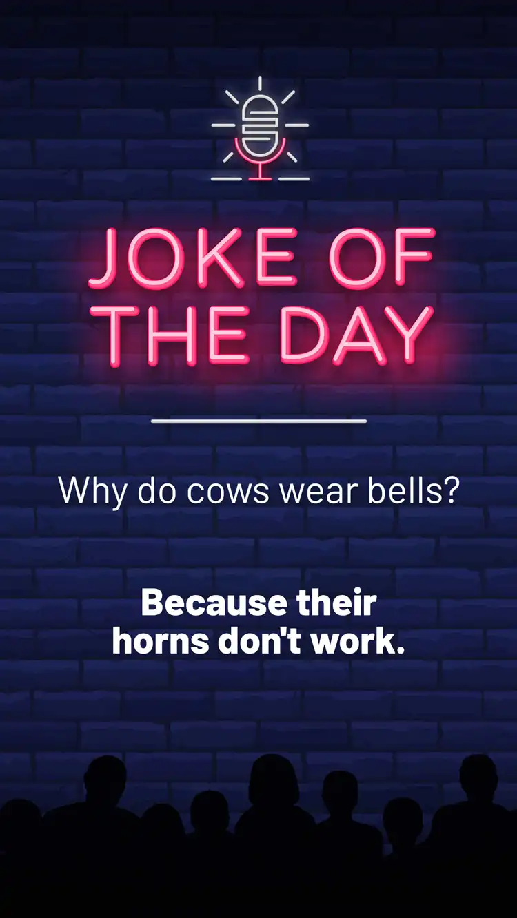 Jokes  Cow Bells