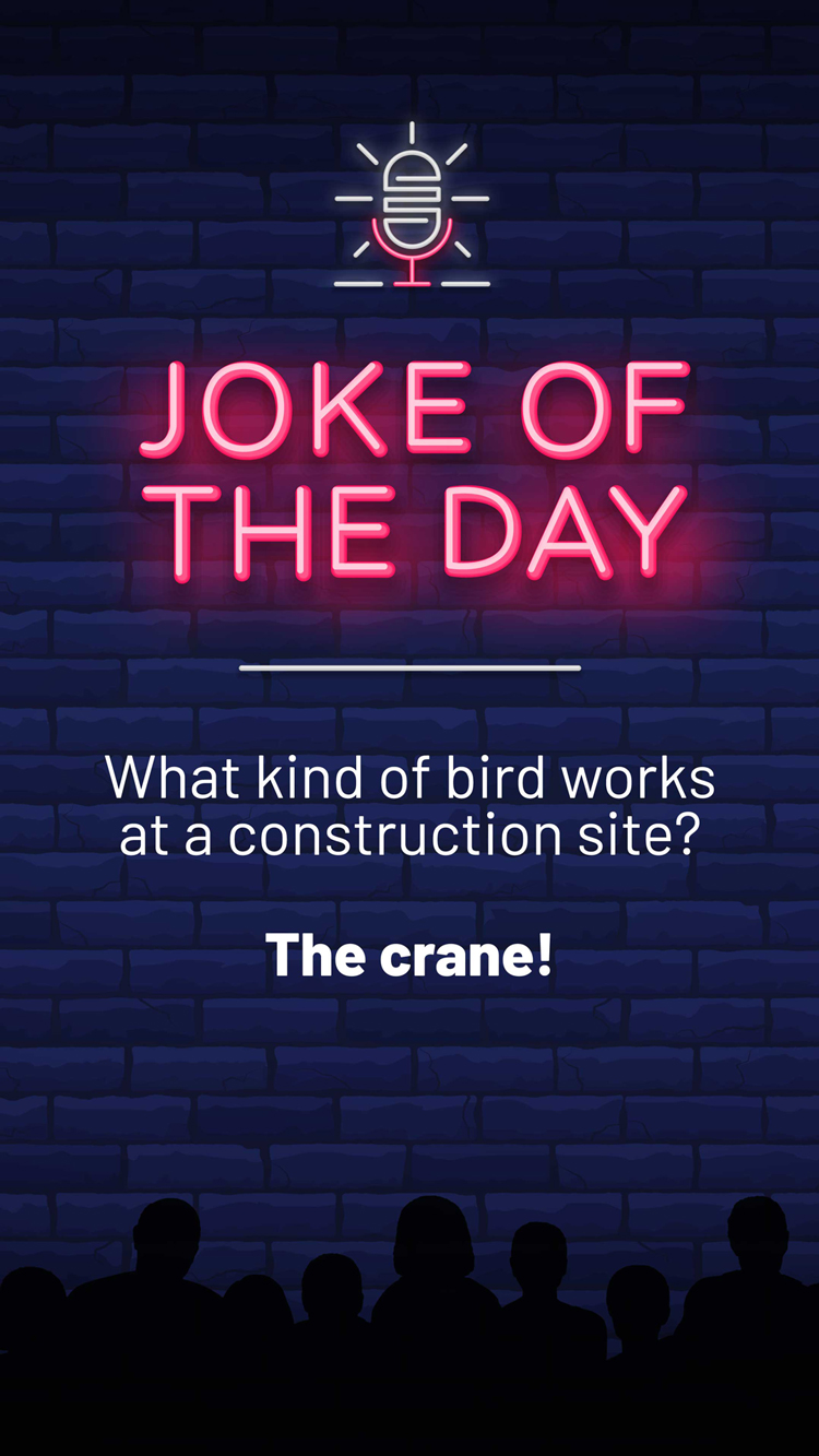 Jokes  Crane