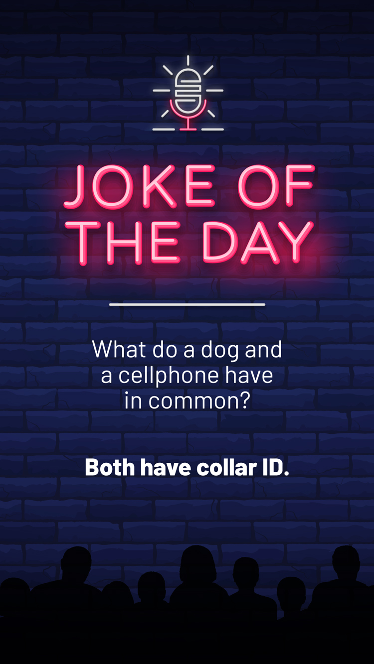 Jokes  Dog Cellphone