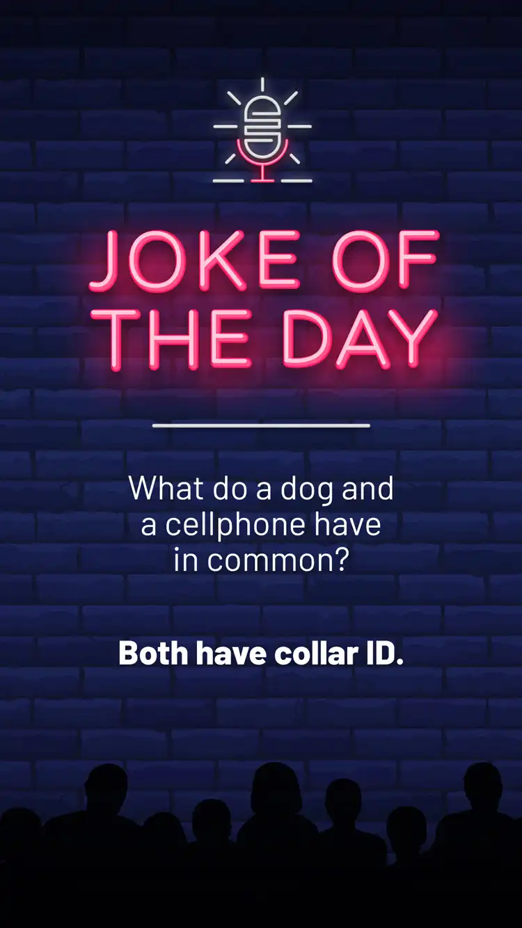 Jokes  Dog Cellphone