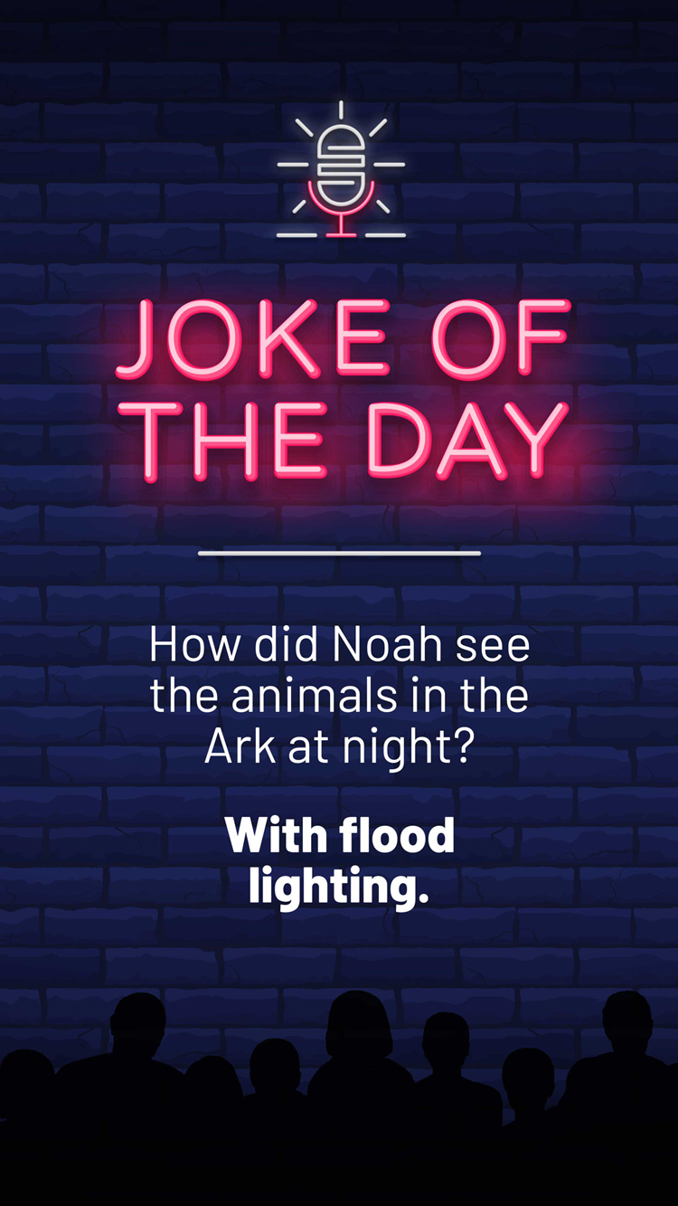 Jokes  Flood Lighting