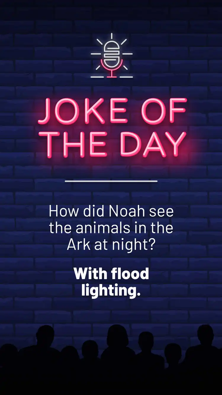 Jokes  Flood Lighting