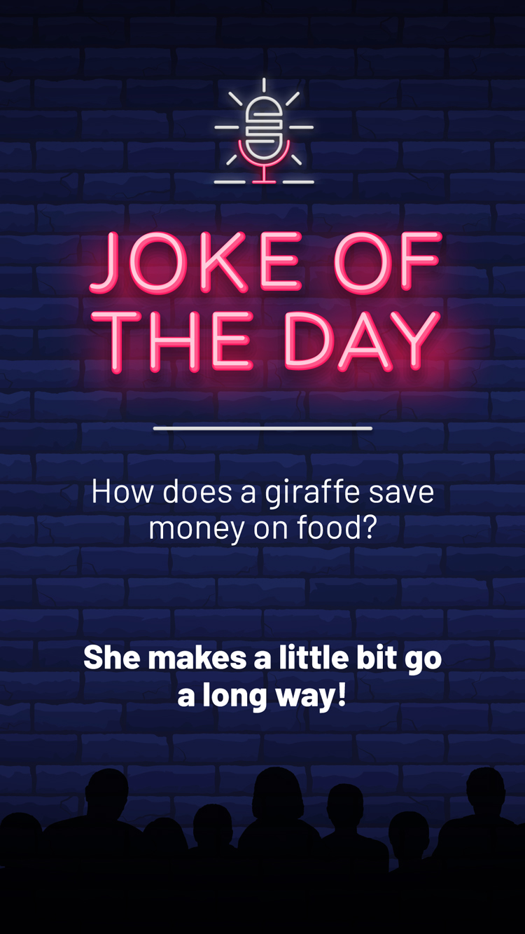 Jokes  Giraffe Money