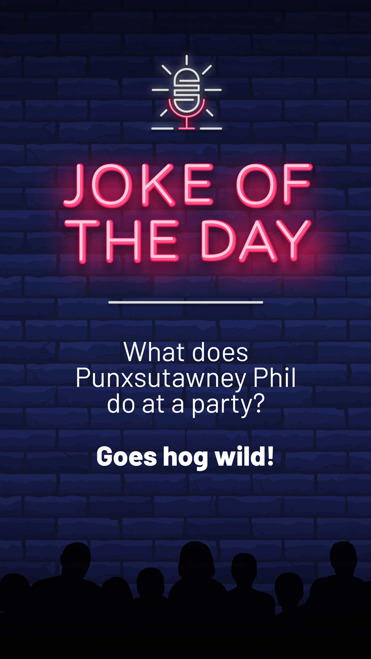 Jokes  Hog Wild