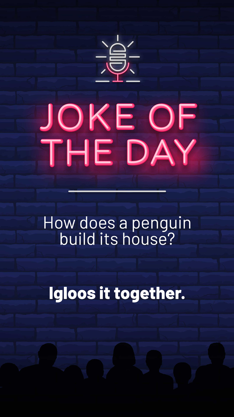 Jokes  Igloos