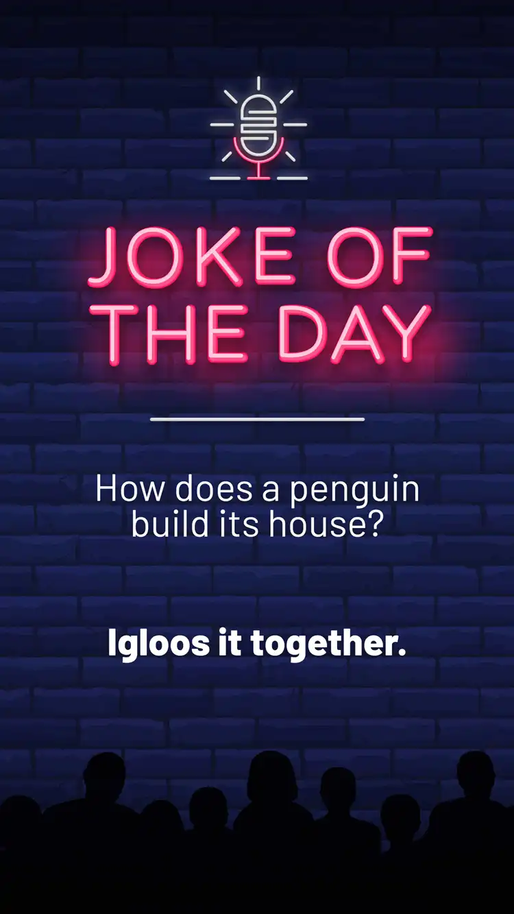 Jokes  Igloos