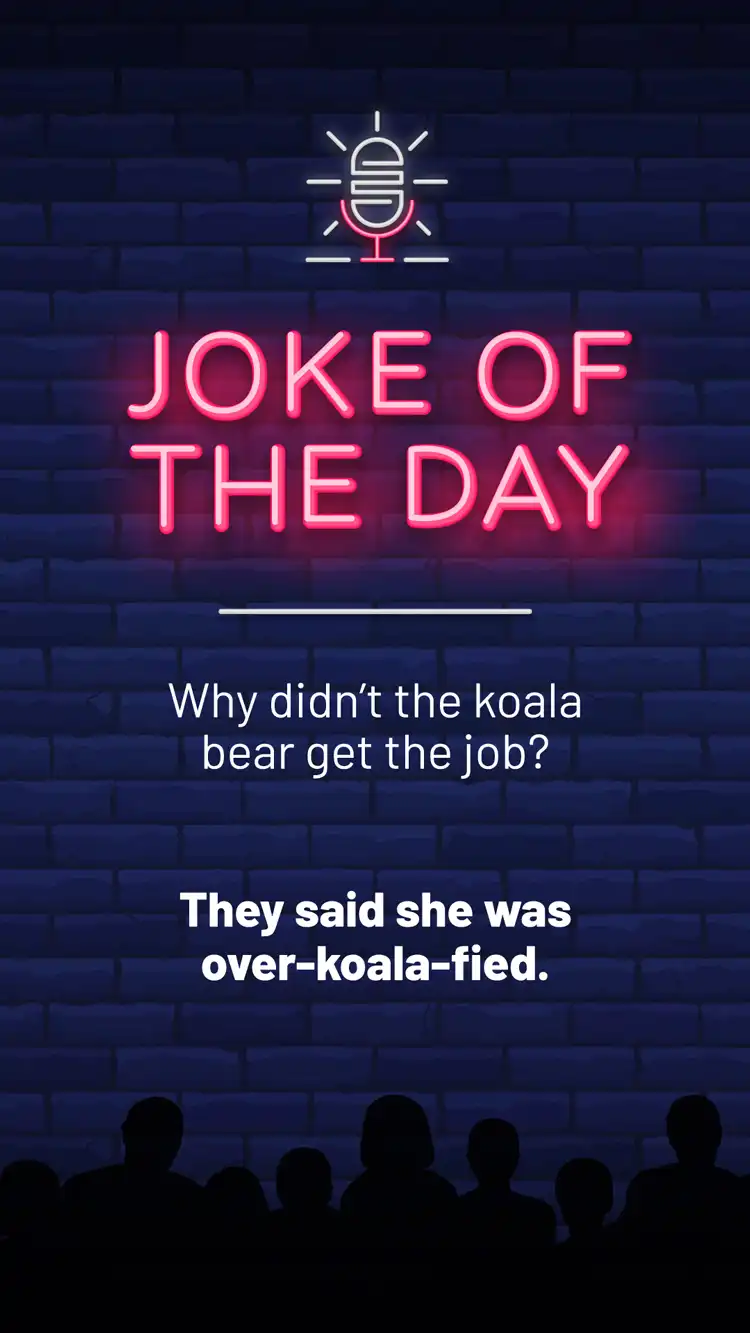 Jokes  Koala Job