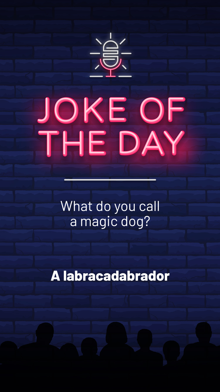 Jokes  Magic Dog