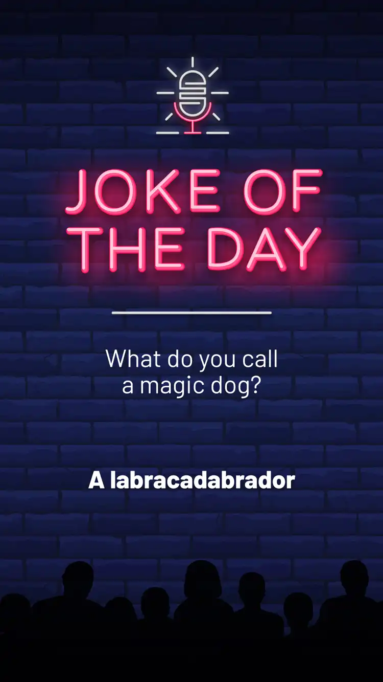 Jokes  Magic Dog