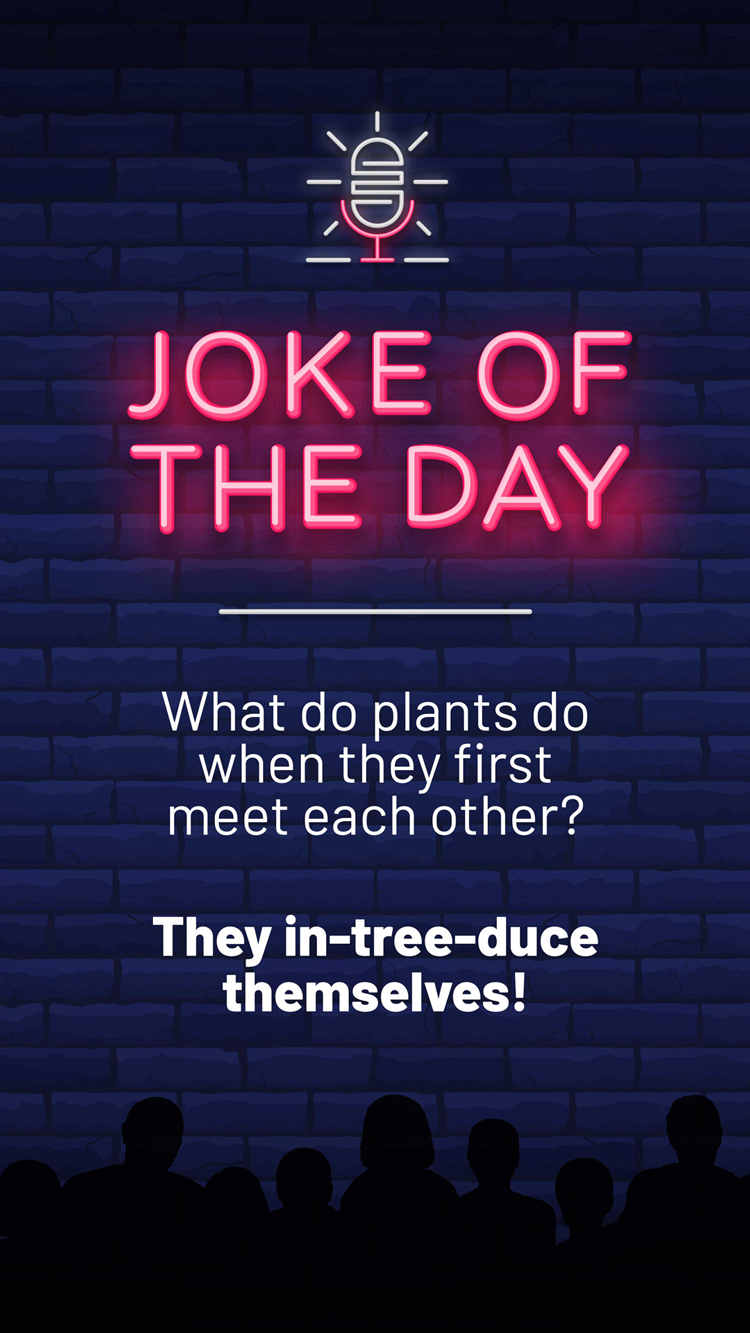 Jokes  Plants Meet