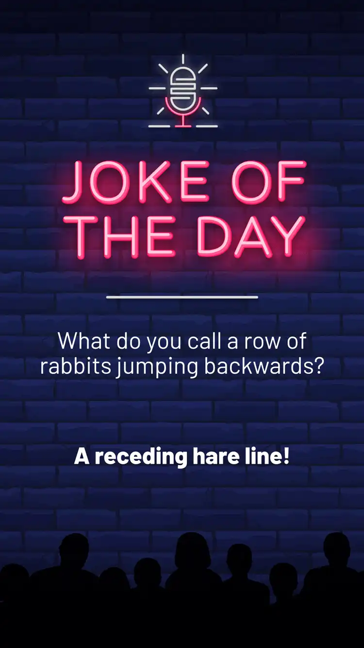 Jokes  Rabbits