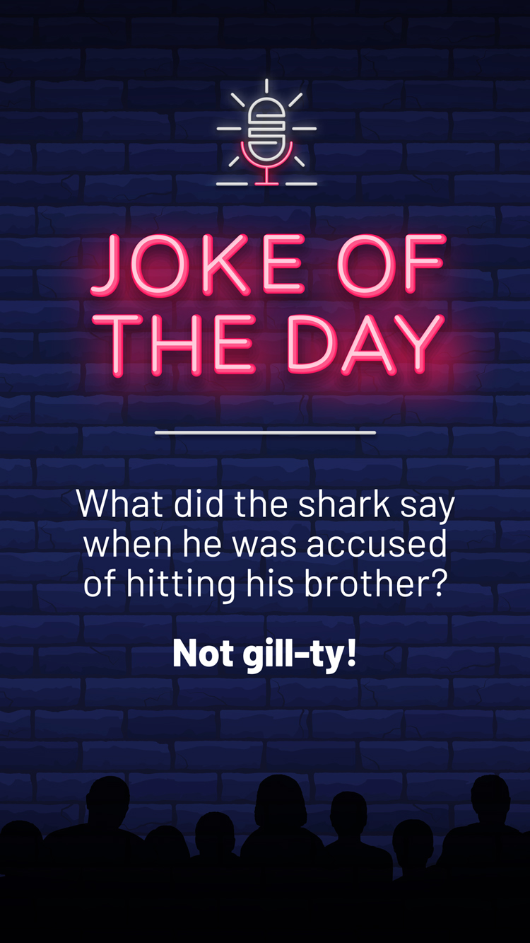 Jokes  Shark Brother
