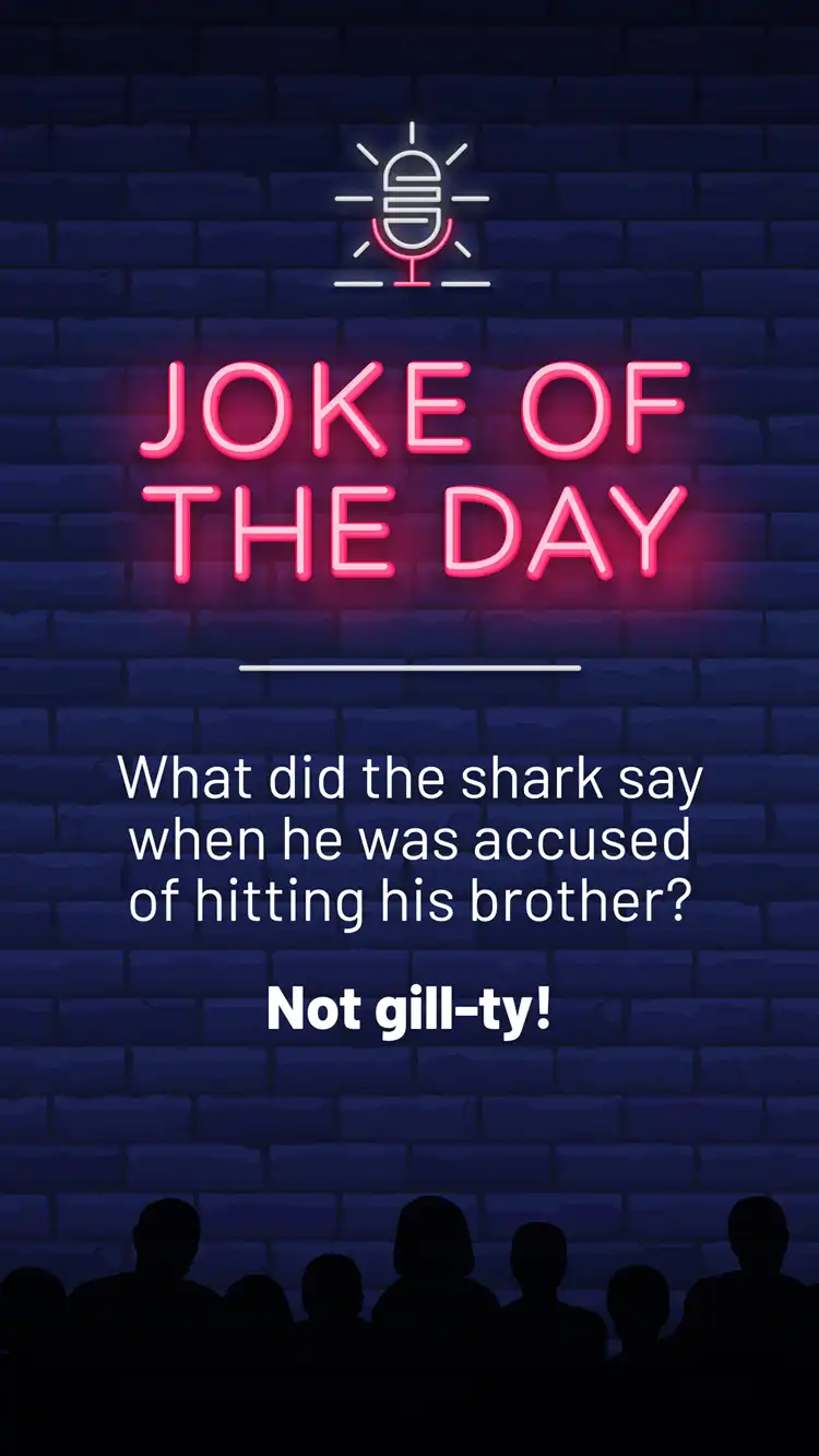 Jokes  Shark Brother
