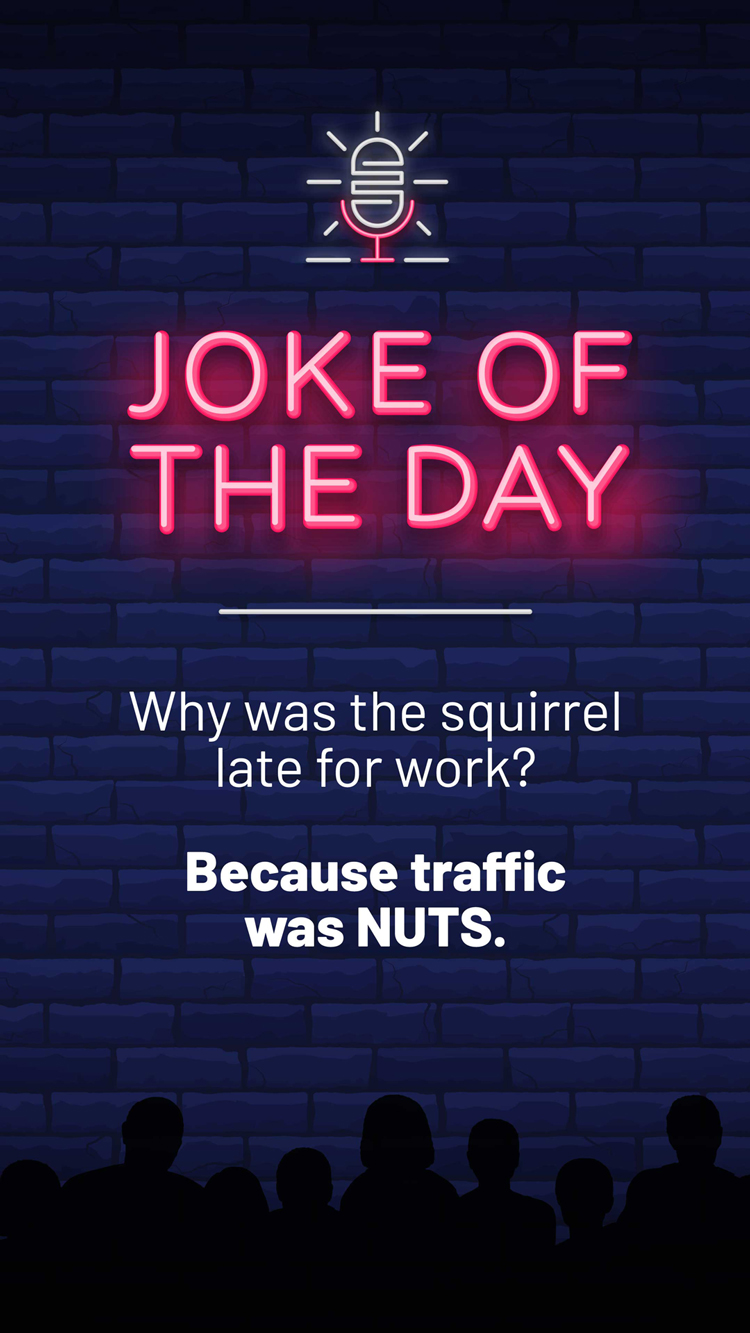 Jokes  Squirrel