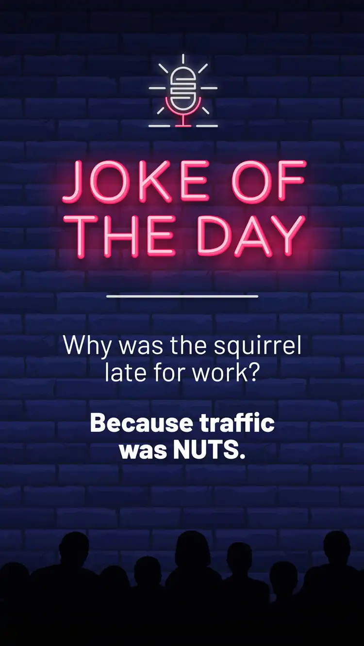 Jokes  Squirrel
