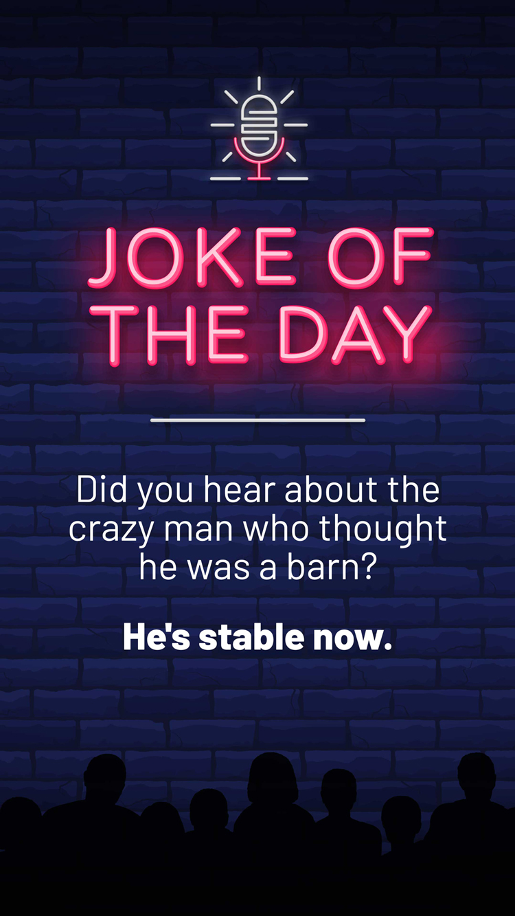 Jokes  Stable Man