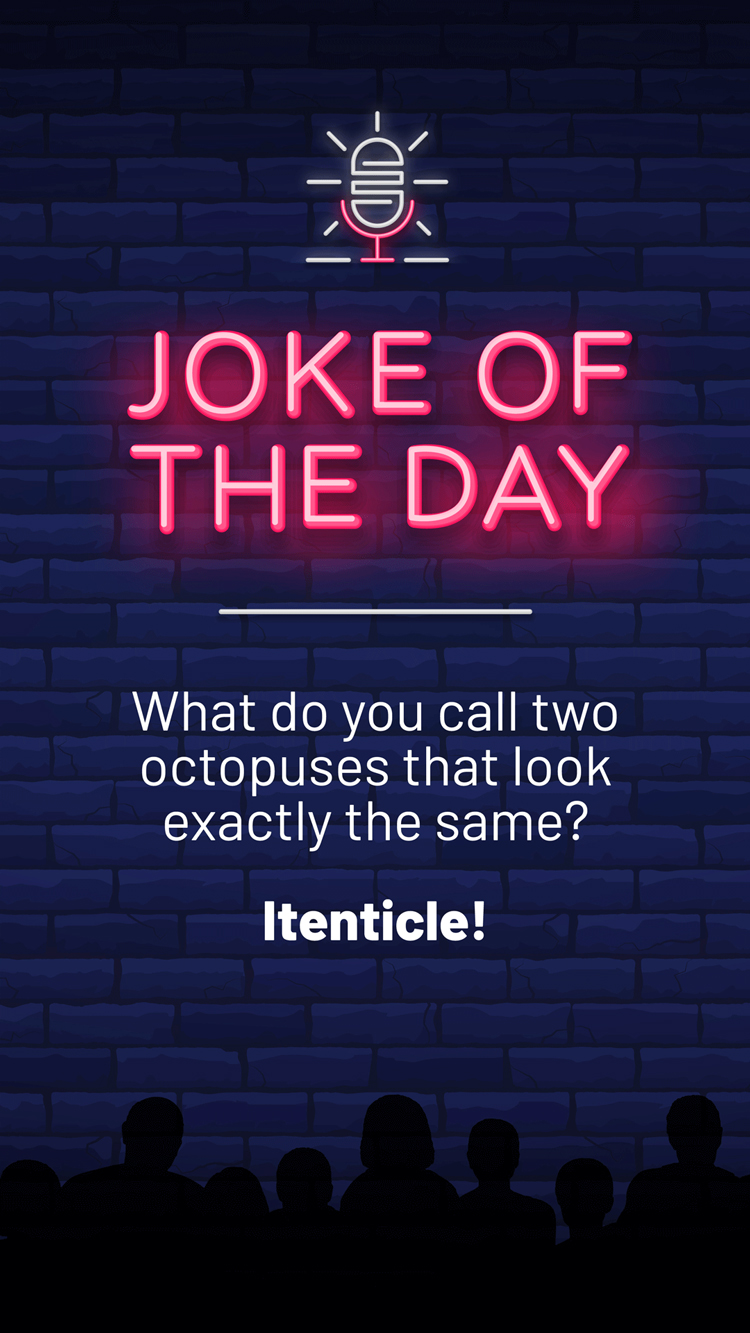 Jokes  Two Octopuses