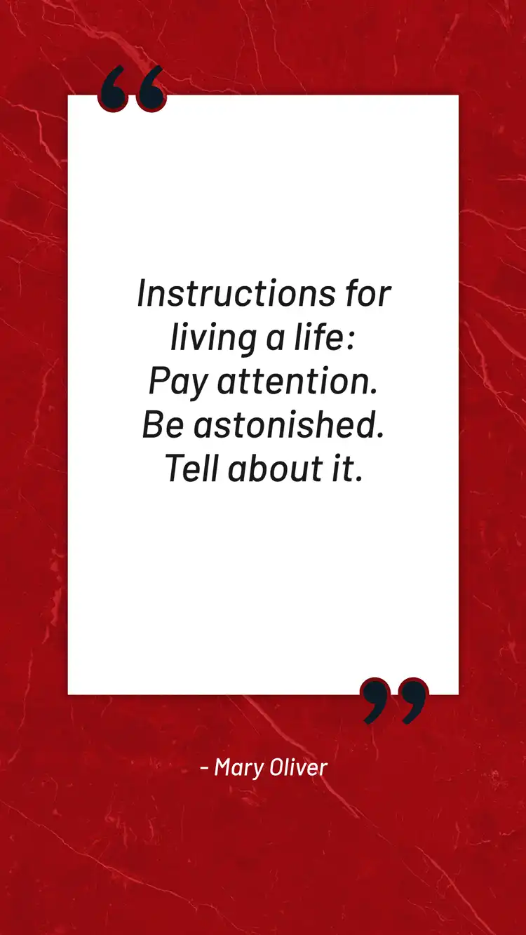 Daily Inspiration  Mary Oliver